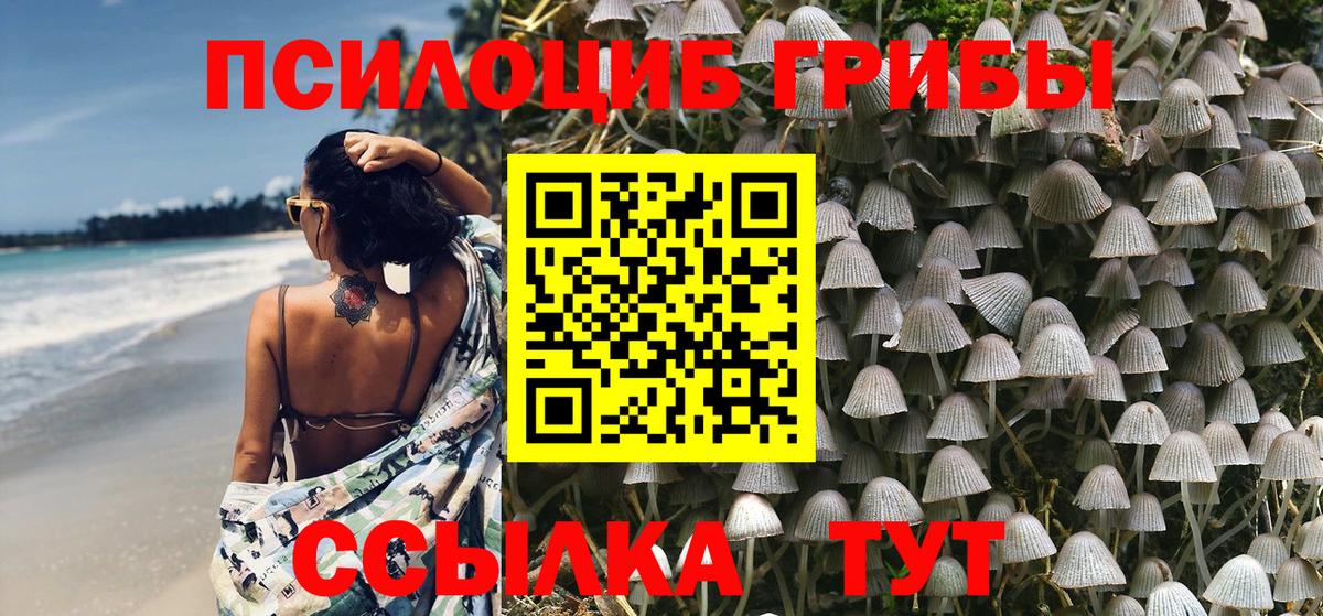 Псилоцибиновые грибы Psilocybine cubensis  Галлюциногенные грибы GOLDEN TEACHER  Вход с VPN  закладка  Похвистнево 
