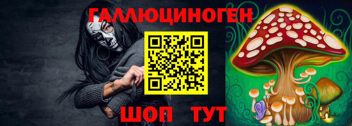 Псилоцибиновые грибы Cubensis Похвистнево